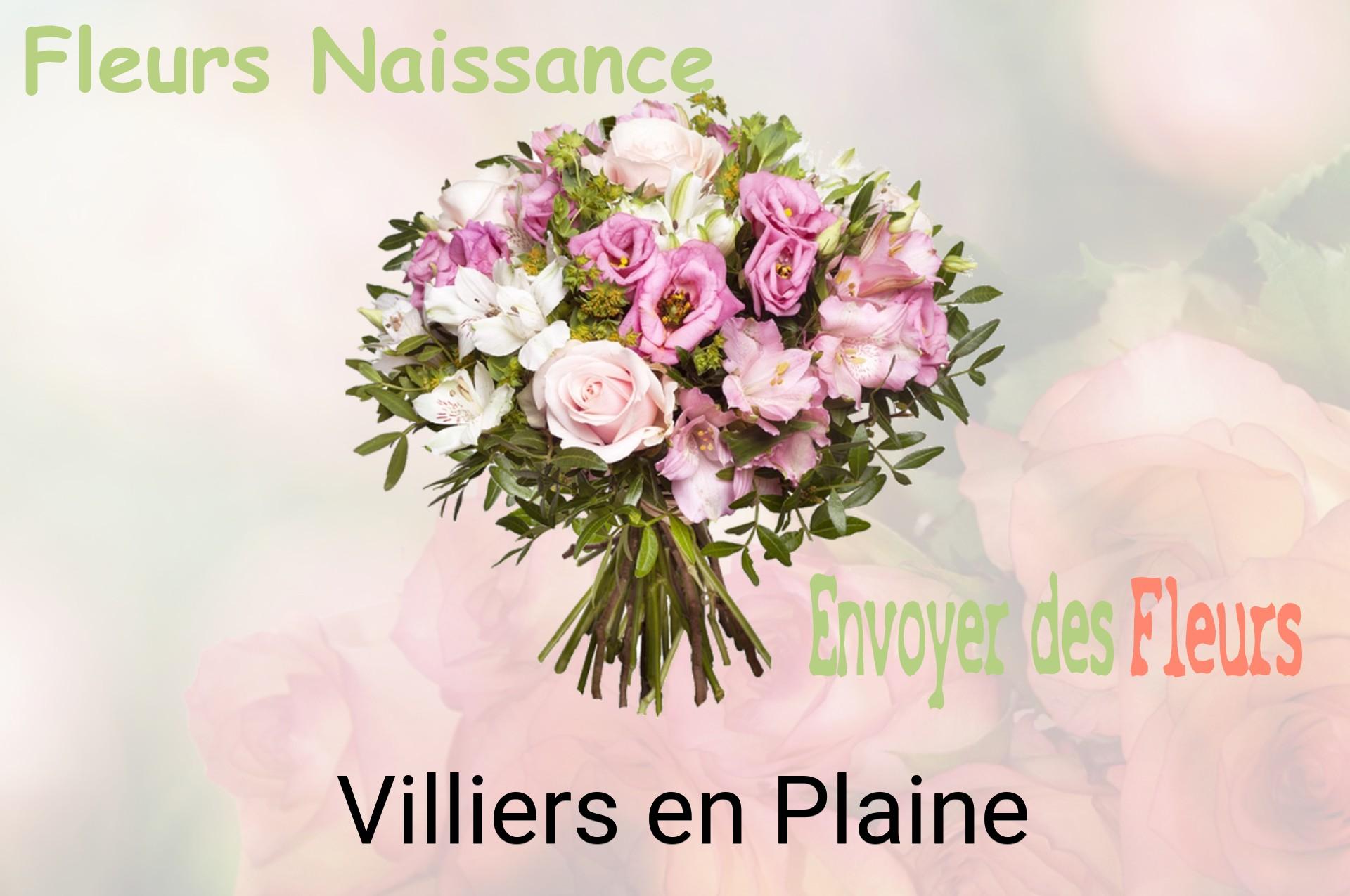 Bouquet de fleurs de naissance livré à Villiers-en-Plaine