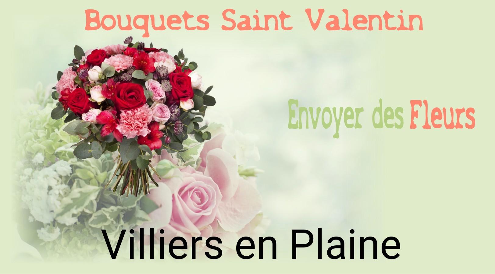 Roses de Saint-Valentin livrées à Villiers-en-Plaine