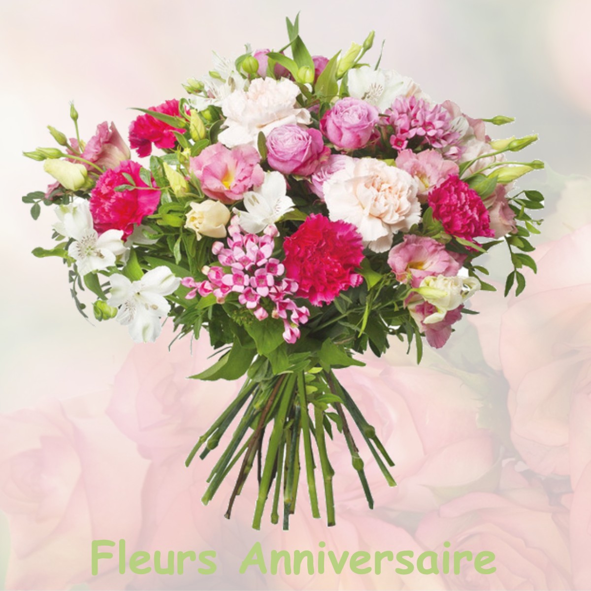 fleurs anniversaire VILLIERS-EN-PLAINE