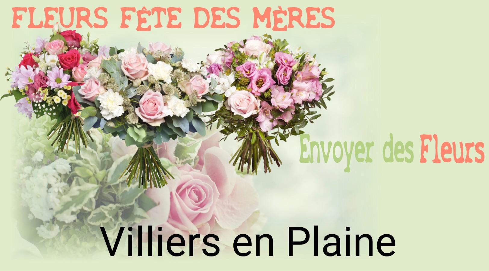 Bouquet de Fête des Mères livré à Villiers-en-Plaine